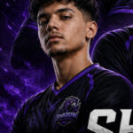 RAVEN