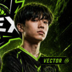 VECTOR
