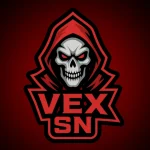VSN